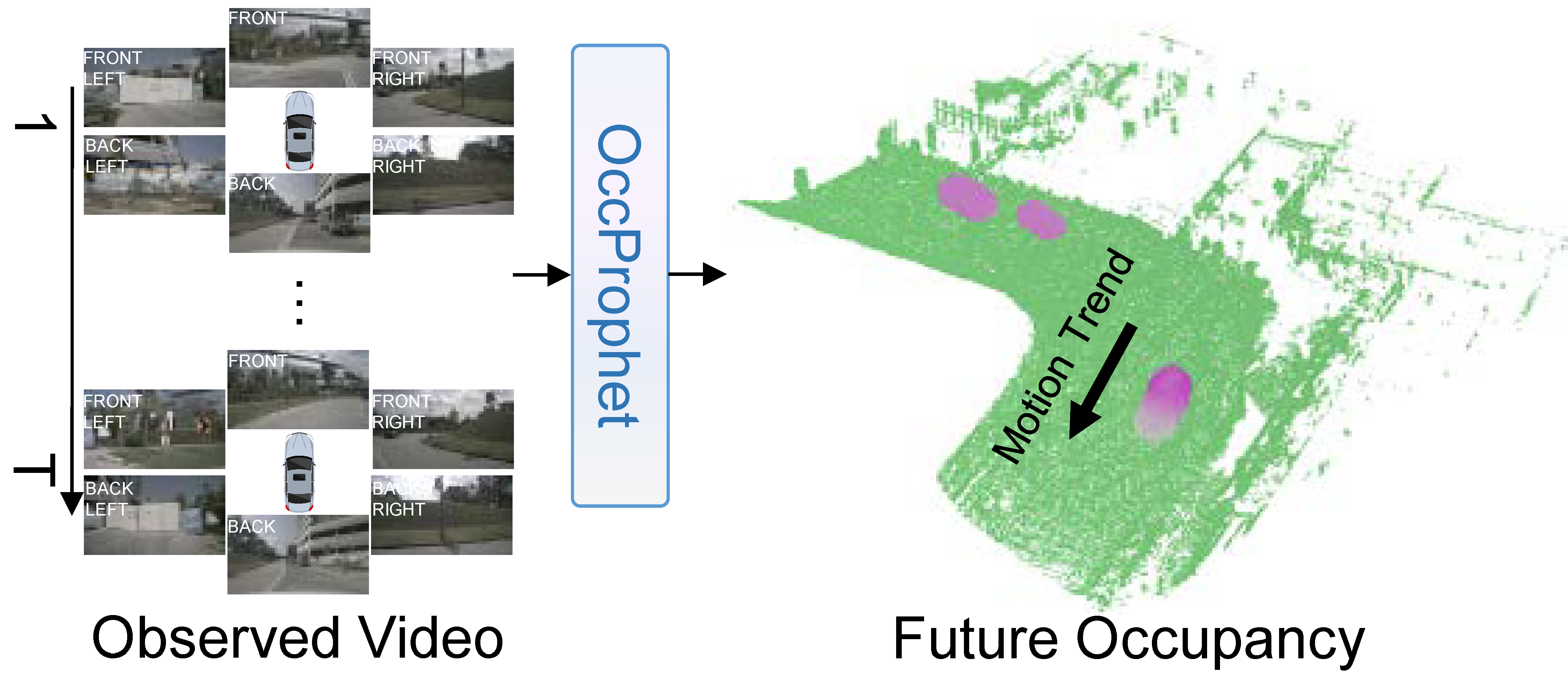 OccProphet project image